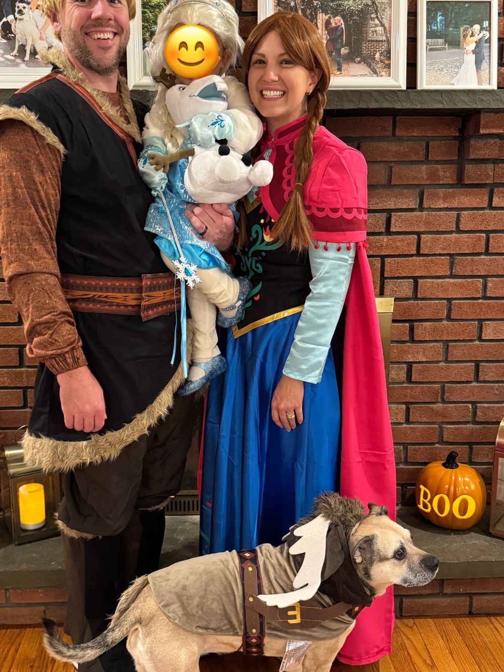 Frozen Women’s Anna Costume + Wig - Picture 2 of 7